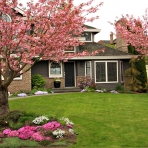 bigstock-beautiful-home-with-blossoming-15282941